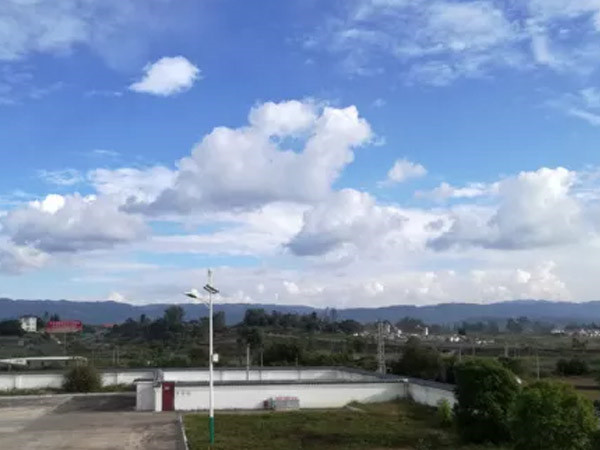 洛陽市280臺(tái)公交車項(xiàng)目"花"落中集凌宇