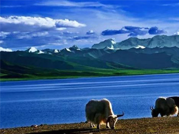 公司成功舉辦“慶元旦、迎新春”長跑比賽