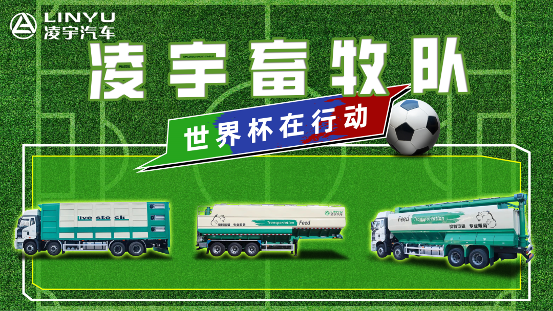 奪冠世界杯！你注意到這支球隊(duì)了嗎？